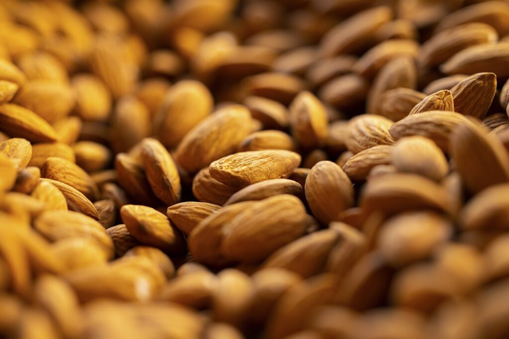 nut, almond, snack