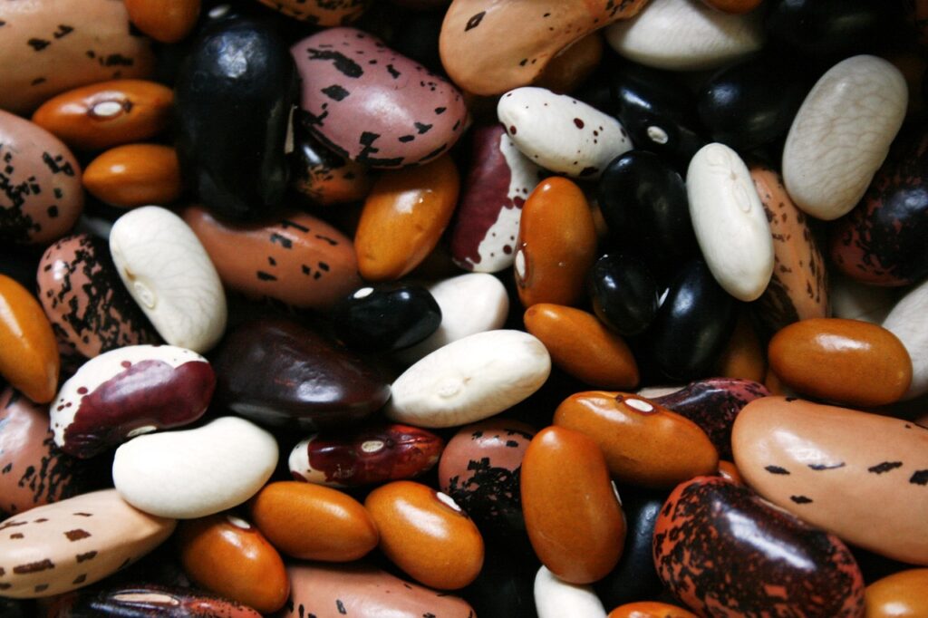 beans, legumes, food